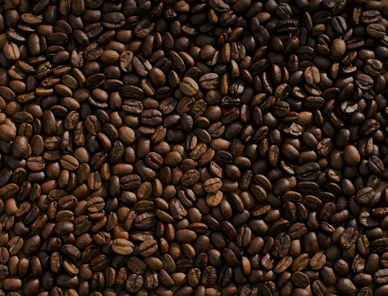 Dark roasted coffee beans filling the frame