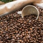 A white cup resting in a bed of roasted coffee beans
