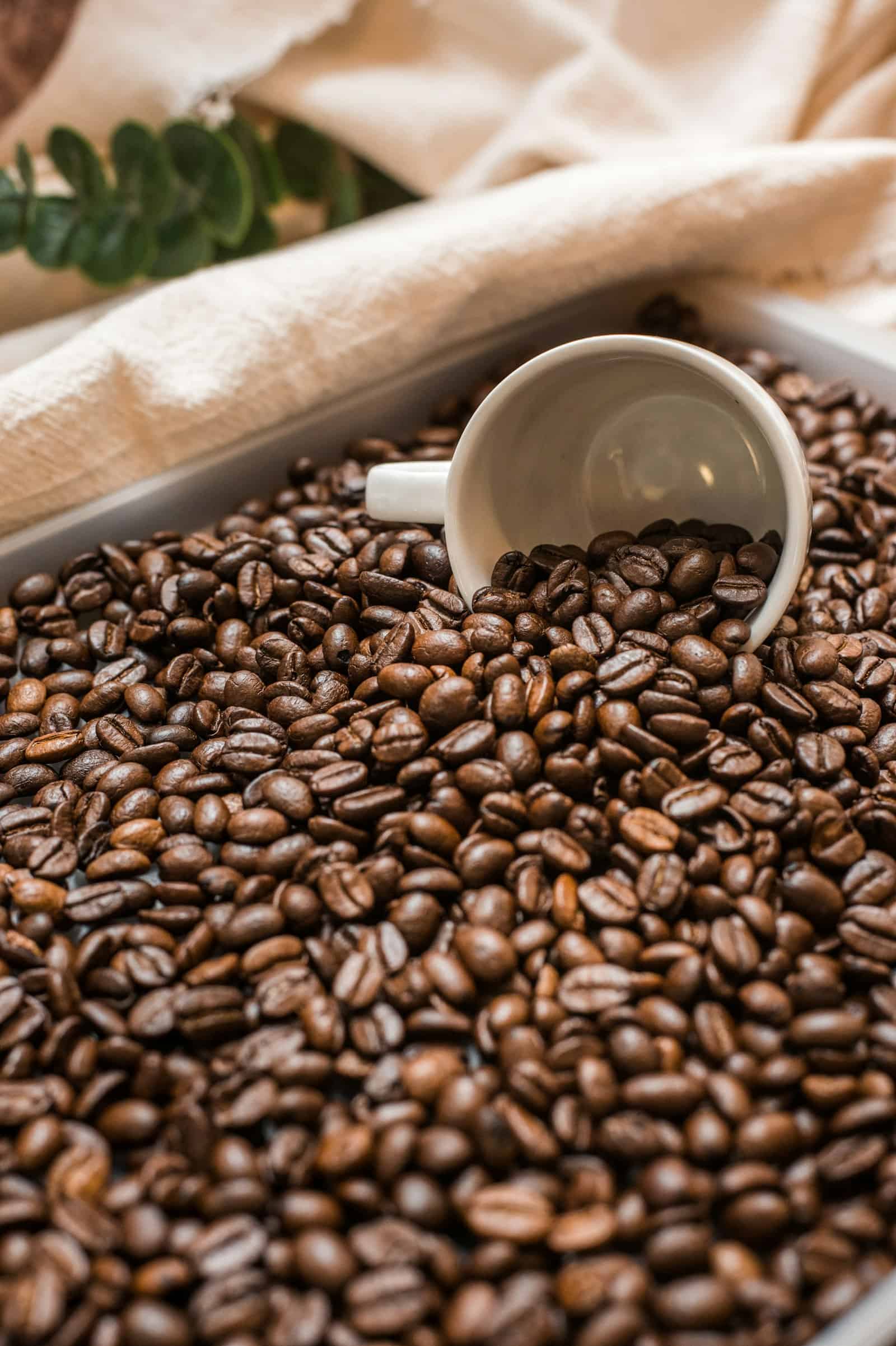 Huila Pink Bourbon — Colombia