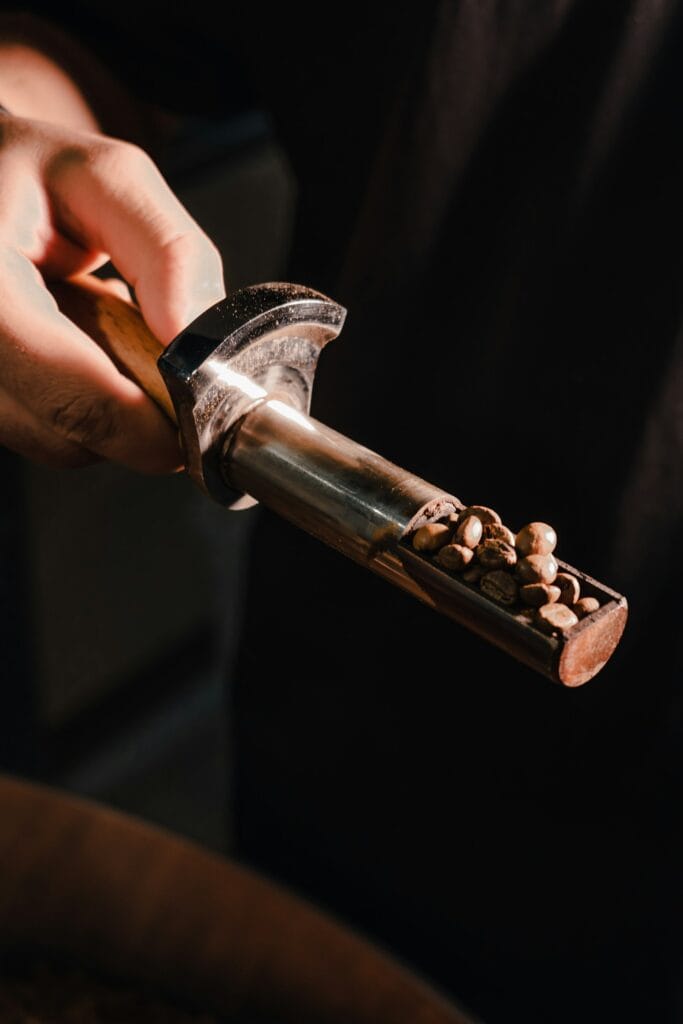 A hand holding a scoop of freshly roasted beans
